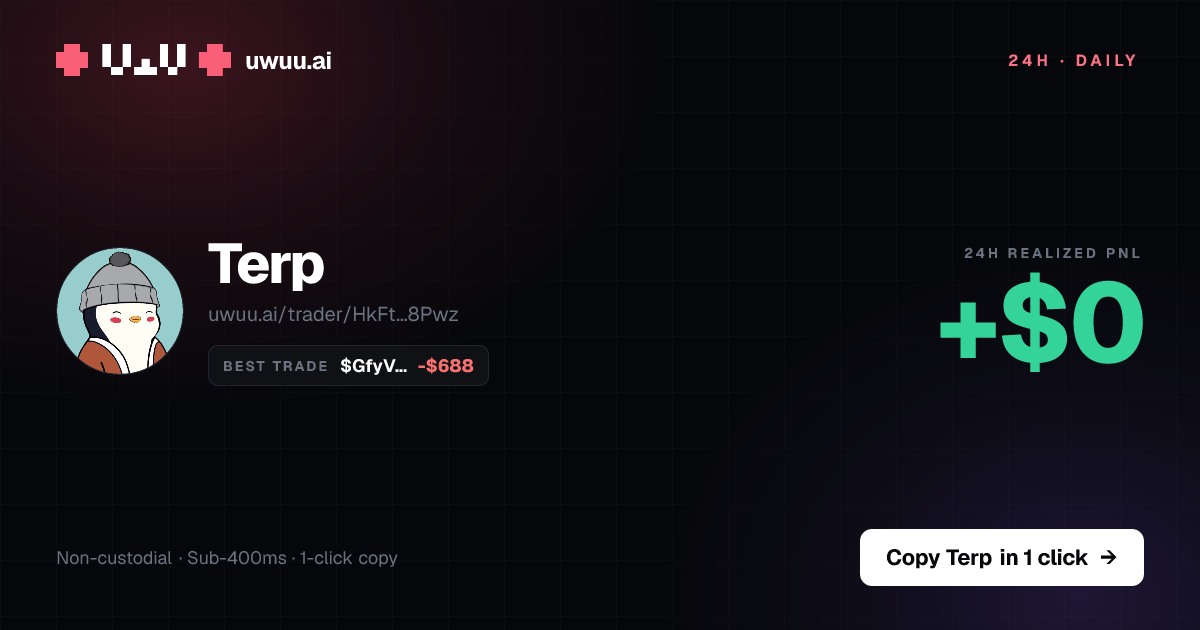 Terp: -$1.02k 30d | Solana wallet | uwuu.ai